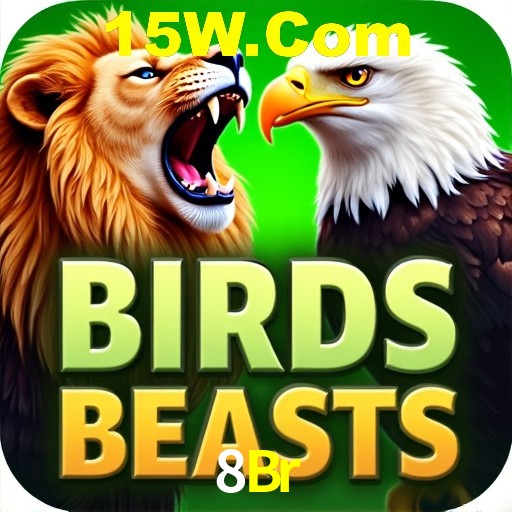 Interface Premium 8Br